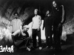 Korn   